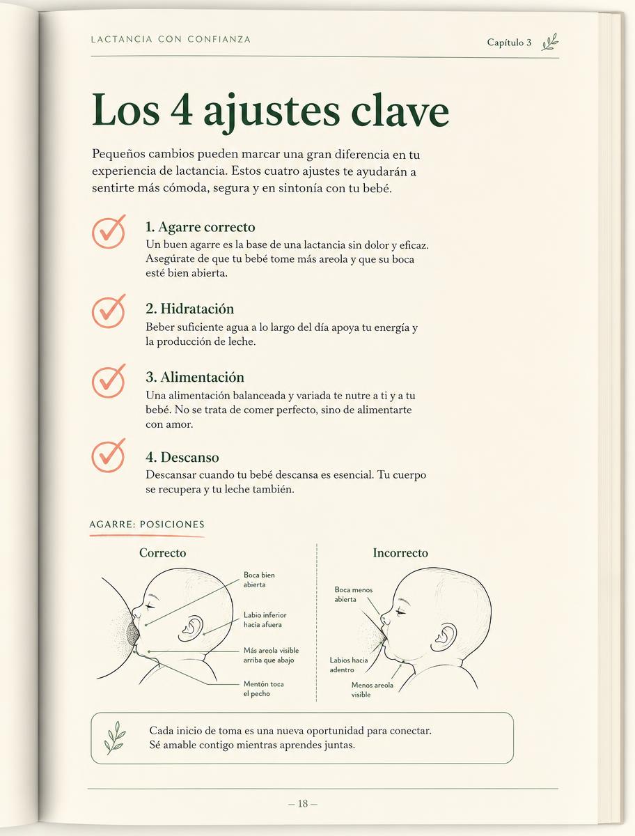 Página del protocolo: los 4 ajustes clave y el agarre correcto